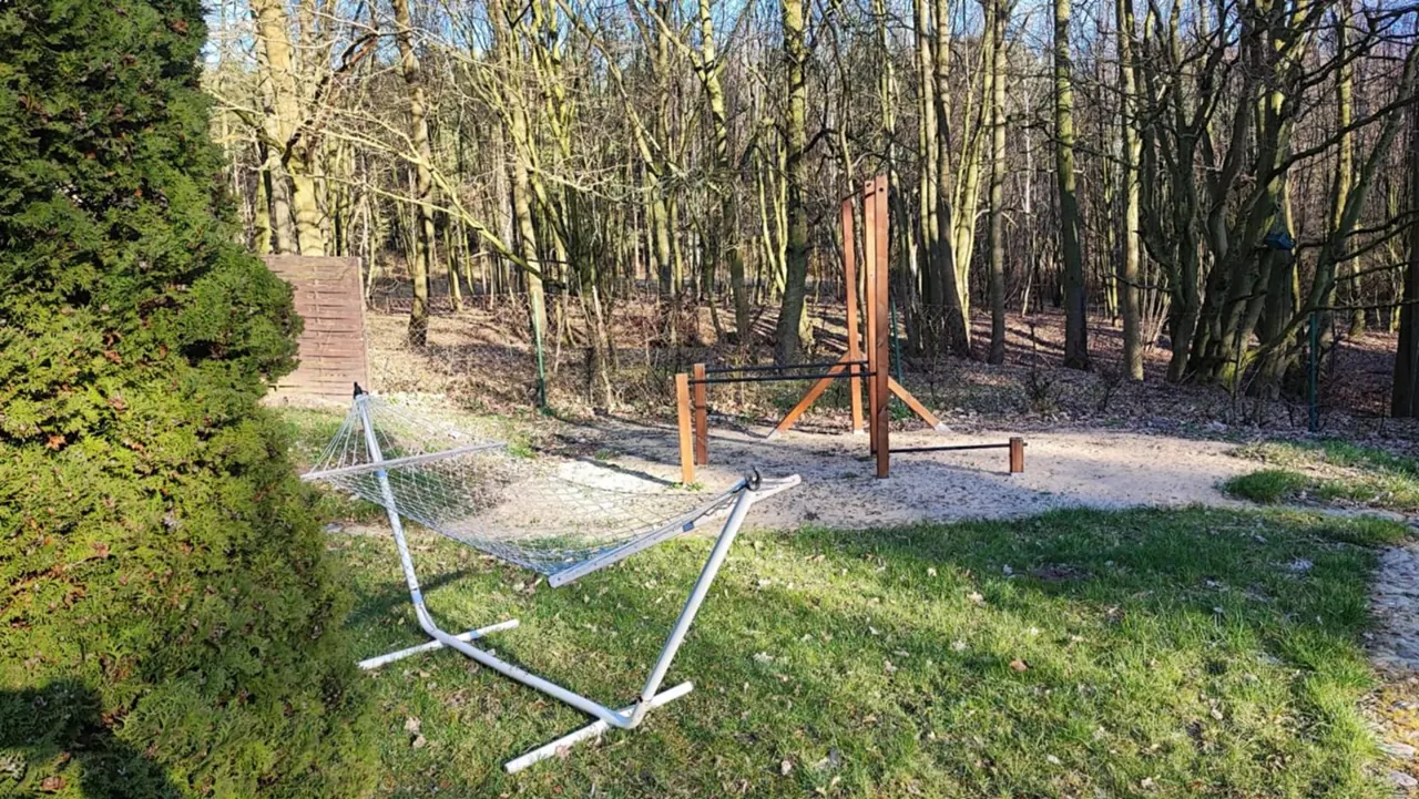 Hamak i drążki do ćwiczeń w lesie za domem